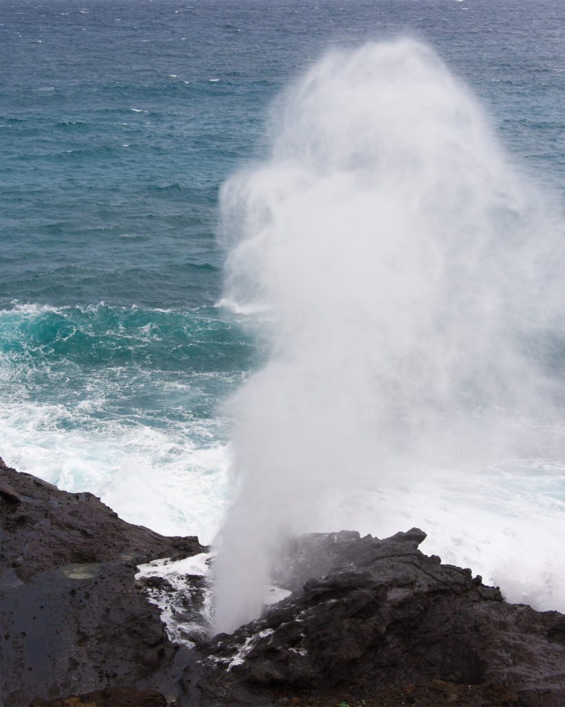 Sea Spout | Workplace Conflict Calgary | Workplace Fairness West